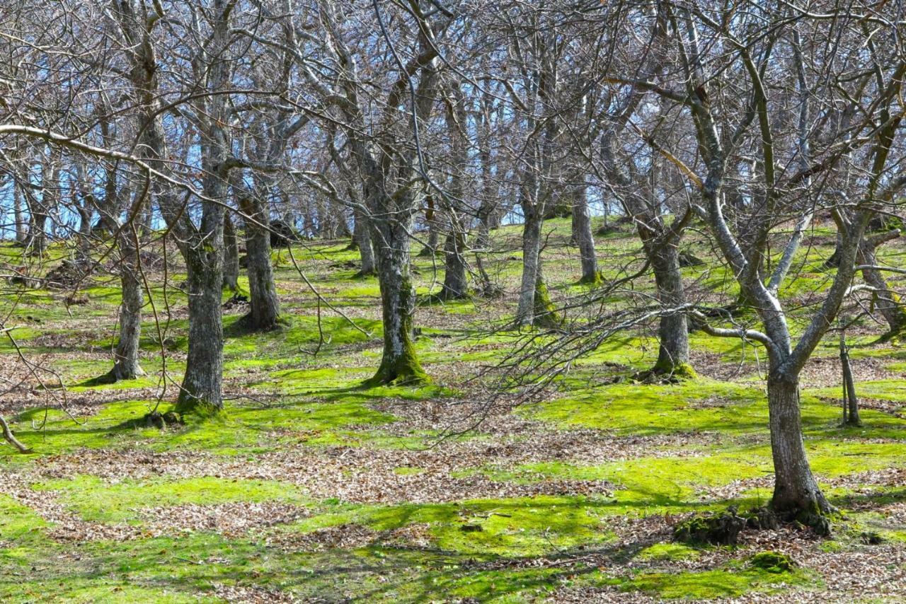 Castel del Rio B&B Latordicella מראה חיצוני תמונה